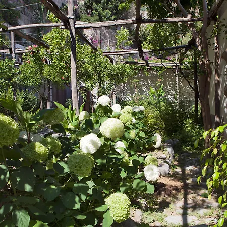 فندق Pupetto بوسيتانو