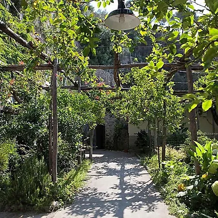 Pupetto Positano